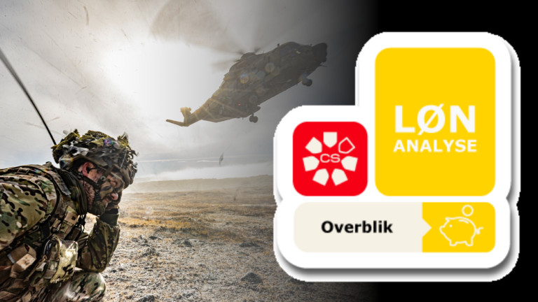 Lønanalyse: Store udfordringer med jeres løn